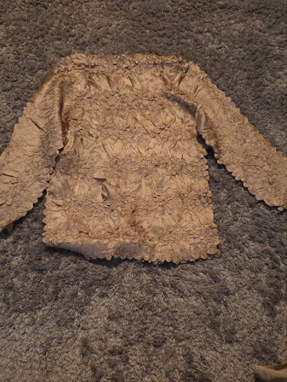 Textured Ruffle Long-Sleeve Top - Champagne - Picture 2 of 3